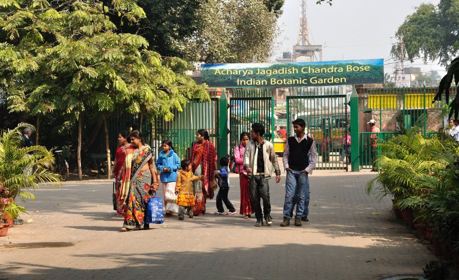 Acharya Jagadish Chandra Bose Indian Botanic Garden, Howrah, West Bengal, India